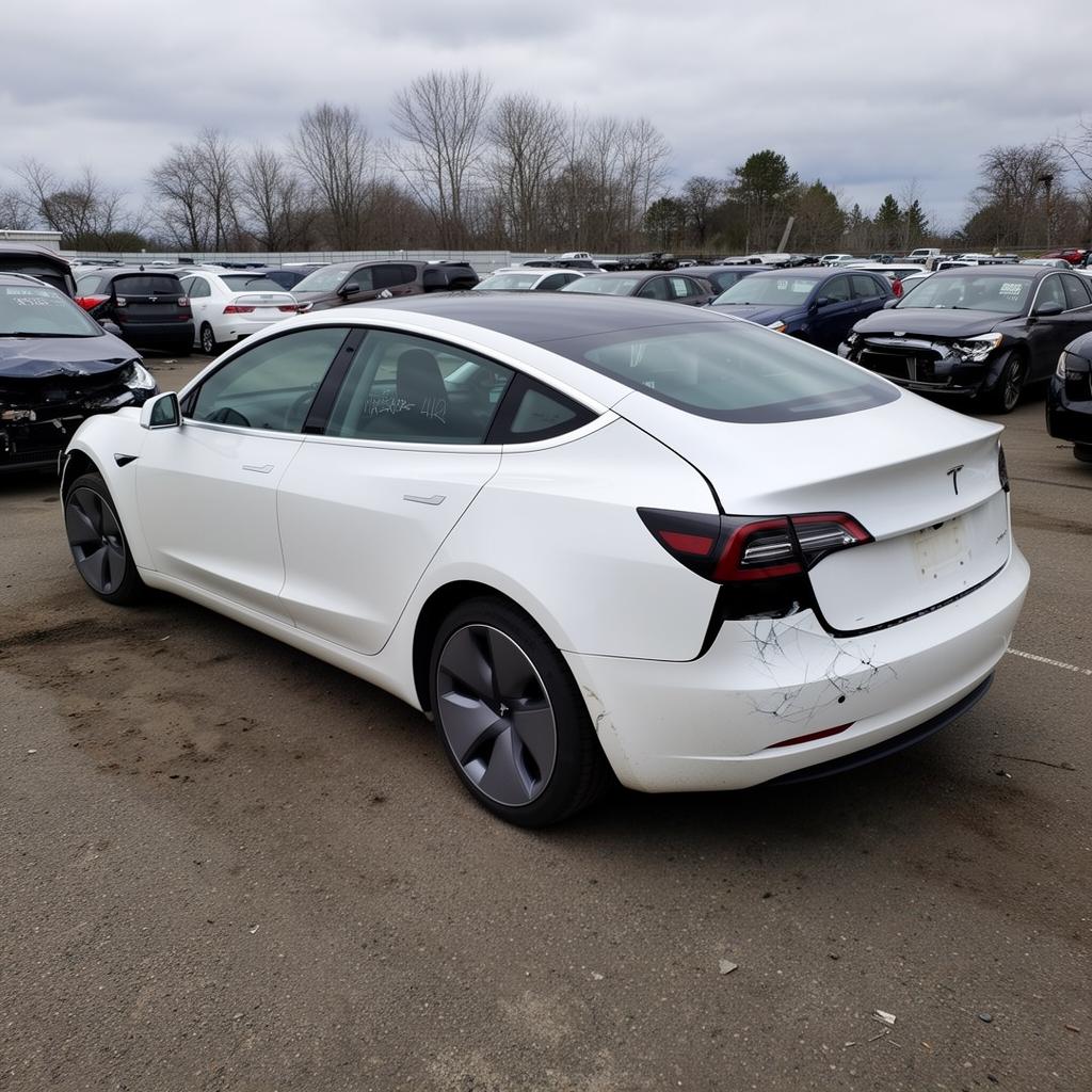 2023 Tesla Model 3 with rear end damage